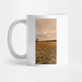 DUST CONT'D Mug